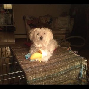 Meet your Posher, Diane